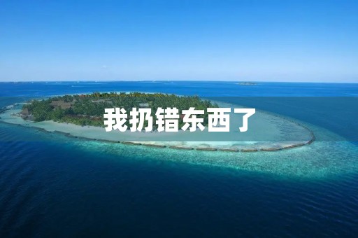 我扔错东西了 我扔错东西了