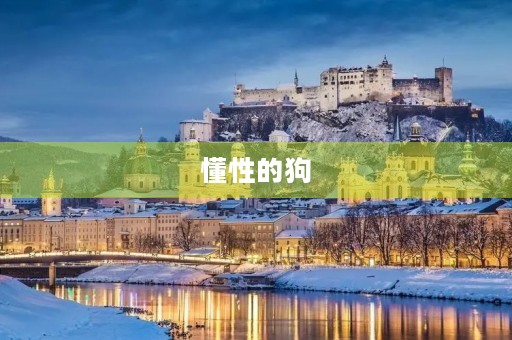 懂性的狗