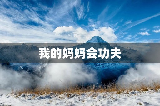 我的妈妈会功夫 我的妈妈会功夫