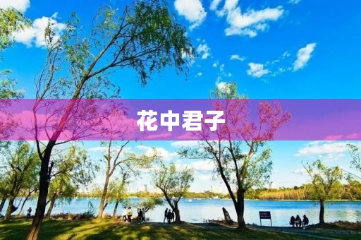 花中君子 花中君子