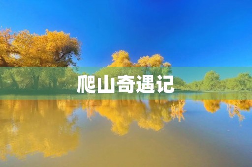 爬山奇遇记 爬山奇遇记