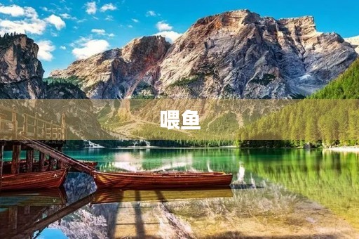 喂鱼 喂鱼