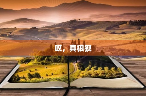 哎，真狼狈