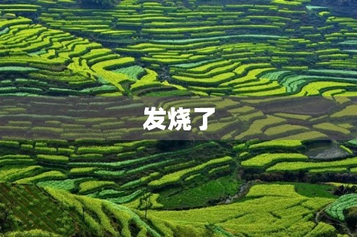 发烧了 发烧了