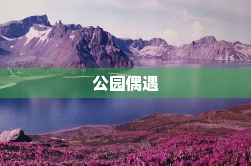公园偶遇 公园偶遇