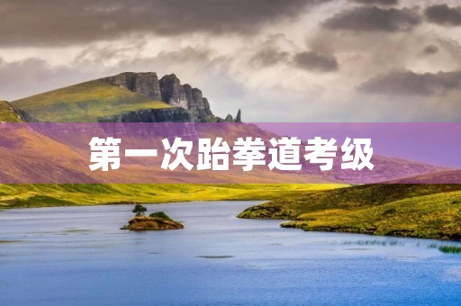 第一次跆拳道考级 第一次跆拳道考级