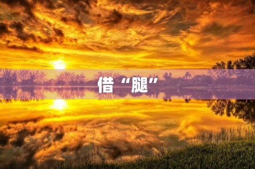 借“腿” 借“腿”