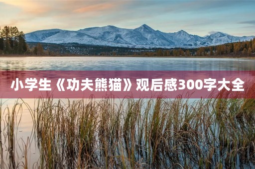 小学生《功夫熊猫》观后感300字大全 小学生《功夫熊猫》观后感300字大全