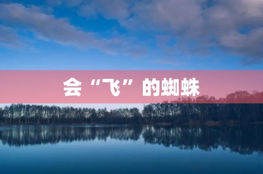 会“飞”的蜘蛛 会“飞”的蜘蛛