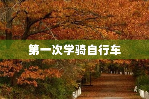 第一次学骑自行车 第一次学骑自行车