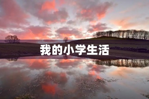 我的小学生活 我的小学生活