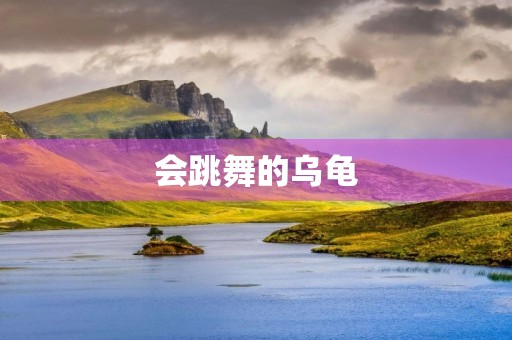 会跳舞的乌龟 会跳舞的乌龟