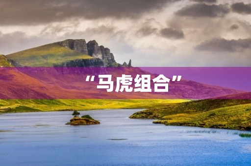 “马虎组合” “马虎组合”