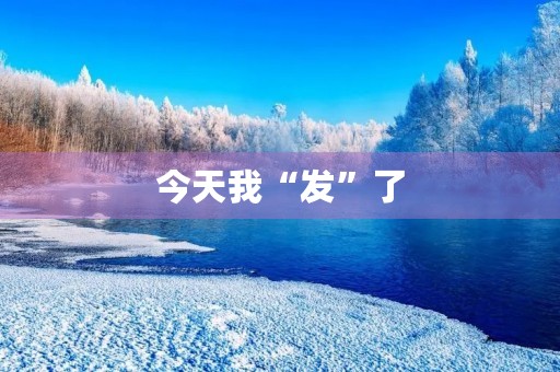 今天我“发”了 今天我“发”了