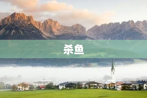 杀鱼 杀鱼