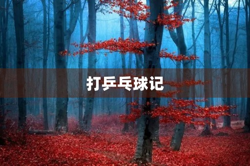 打乒乓球记 打乒乓球记