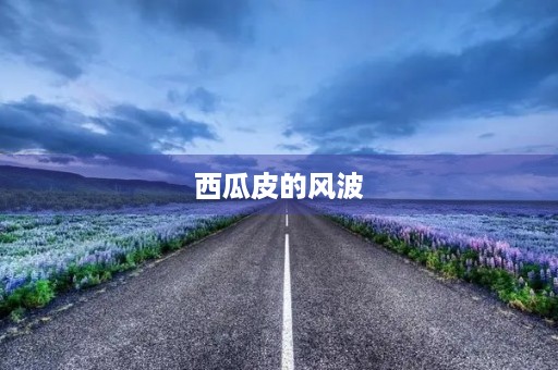 西瓜皮的风波 西瓜皮的风波