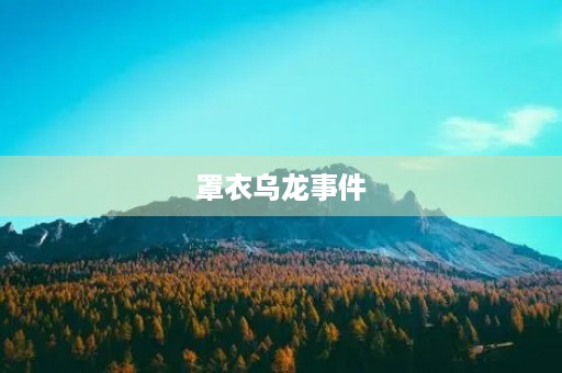 罩衣乌龙事件 罩衣乌龙事件