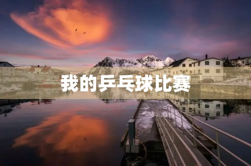 我的乒乓球比赛 我的乒乓球比赛