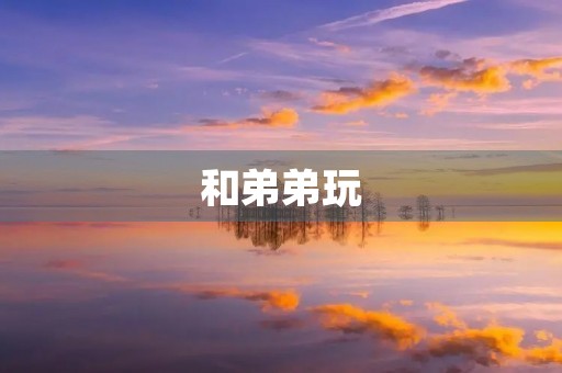 和弟弟玩 和弟弟玩