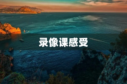 录像课感受 录像课感受
