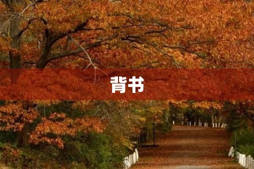背书 背书
