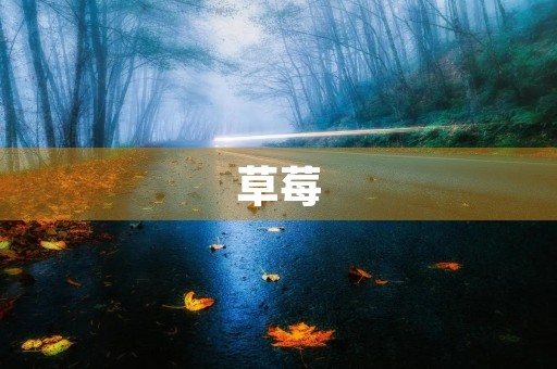 草莓 草莓