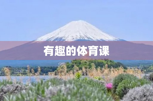 有趣的体育课 有趣的体育课