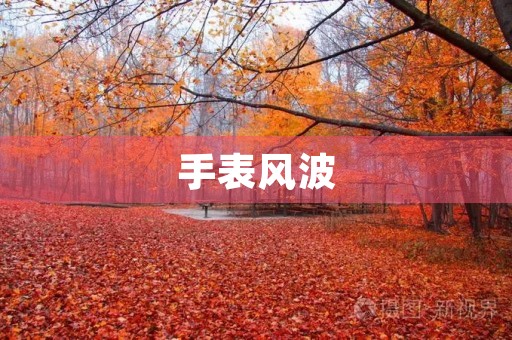 手表风波 手表风波