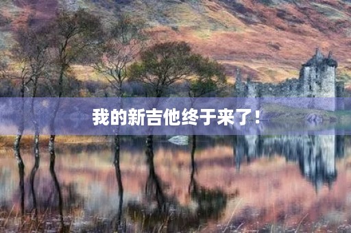 我的新吉他终于来了! 我的新吉他终于来了!
