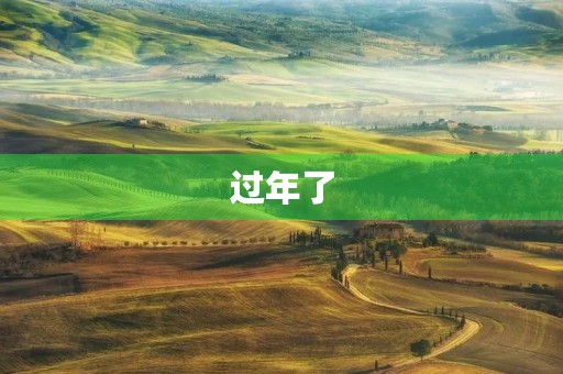 过年了 过年了