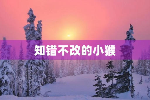 知错不改的小猴 知错不改的小猴