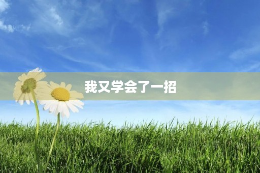 我又学会了一招 我又学会了一招