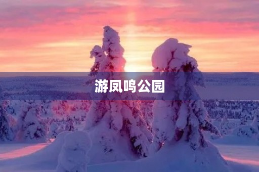 游凤鸣公园 游凤鸣公园