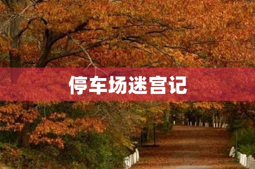 停车场迷宫记 停车场迷宫记