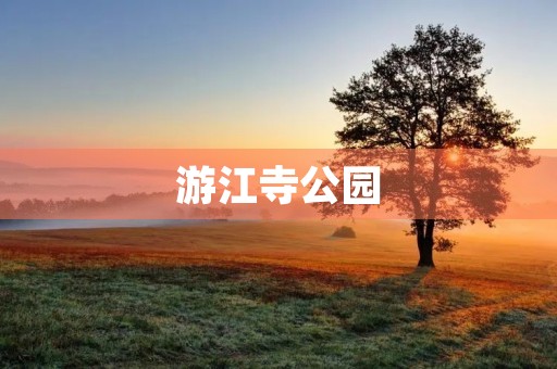 游江寺公园