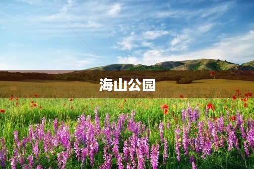 海山公园 海山公园