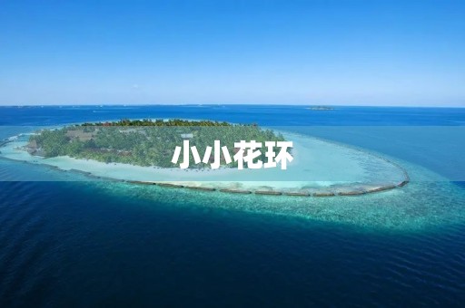 小小花环