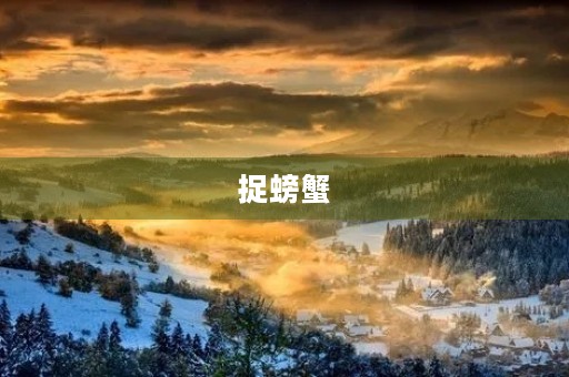 捉螃蟹 捉螃蟹