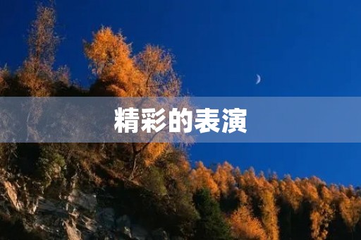 精彩的表演 精彩的表演