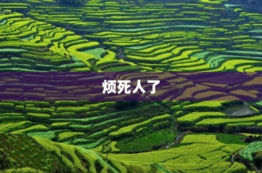 烦死人了 烦死人了