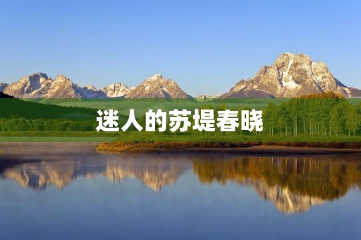 迷人的苏堤春晓 迷人的苏堤春晓