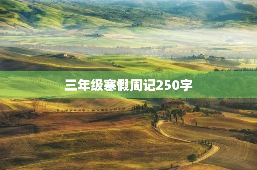 三年级寒假周记250字 三年级寒假周记250字