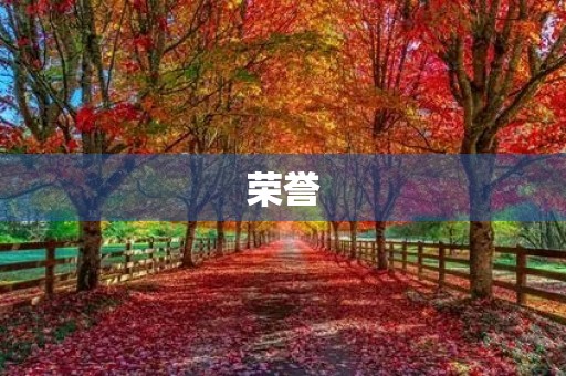 荣誉 荣誉