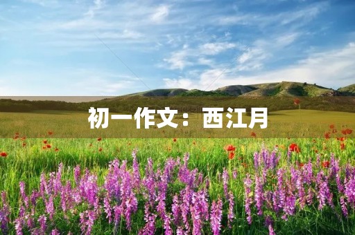 初一作文：西江月
