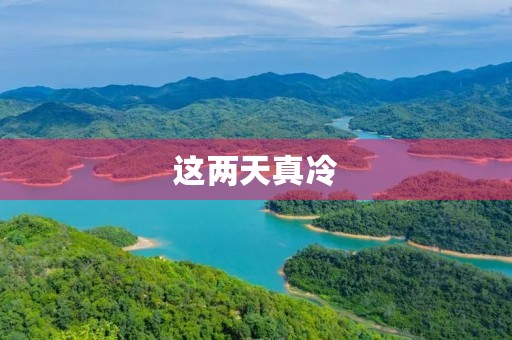 这两天真冷