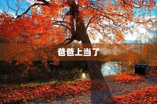 爸爸上当了 爸爸上当了