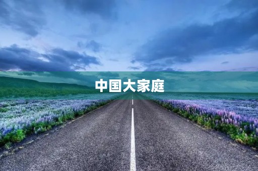 中国大家庭 中国大家庭