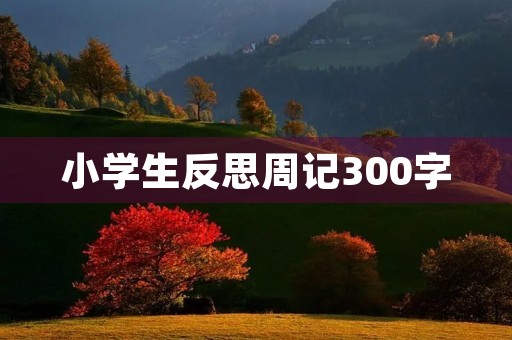小学生反思周记300字 小学生反思周记300字