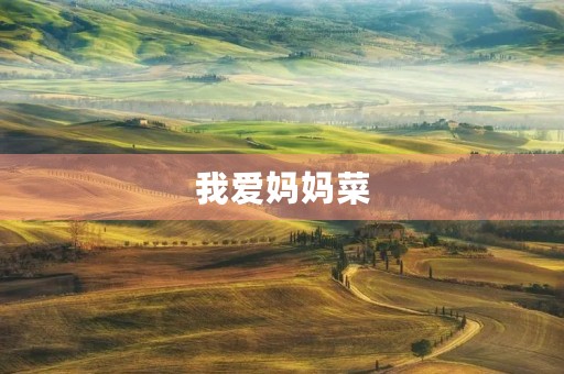 我爱妈妈菜